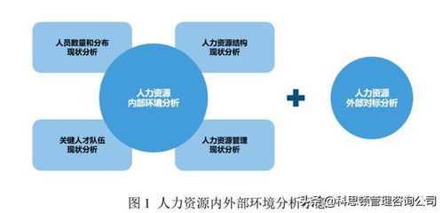 某設(shè)計(jì)企業(yè)人力資源規(guī)劃咨詢案例