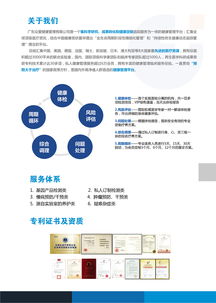 一頁盡覽，實(shí)力呈現(xiàn) 企業(yè)單頁設(shè)計(jì)與DM策劃的藝術(shù)